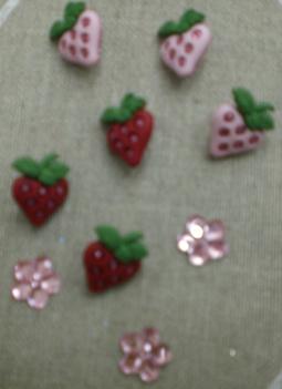 boutons champs de fraises