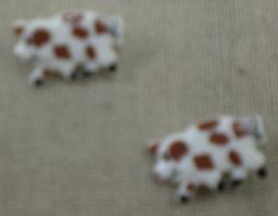 boutons cochons tachetés