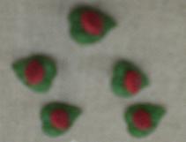 boutons coccinelle sur feuille