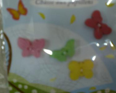 boutons carte papillons